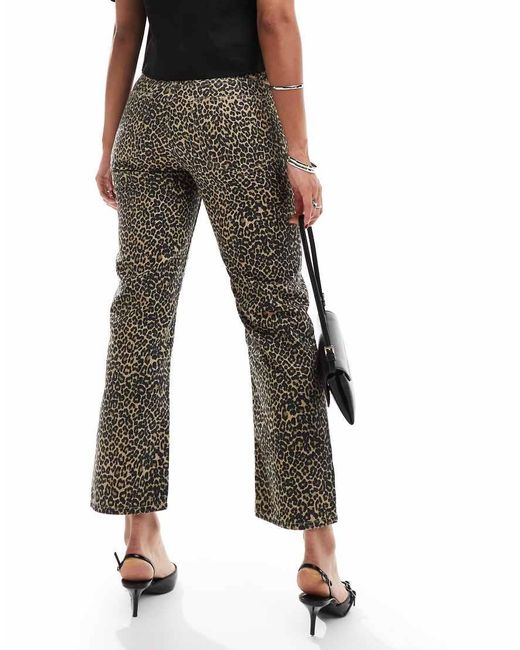 Vaqueros Marrones De Pernera Recta Con Estampado De Leopardo De Mango de color Brown