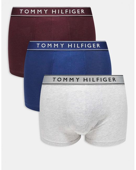 Everyday essentials - lot Tommy Hilfiger pour homme en coloris Blue