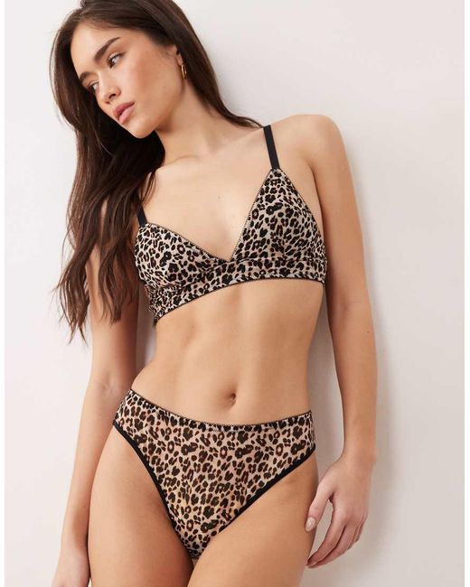 Lemonade Dolls Brown Stretch Mesh High Leg Brief