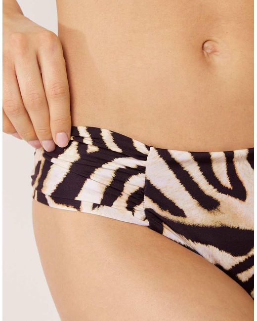 Calzedonia Black Bikini Bottoms Savannah Zebra
