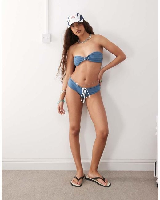 Lioness Gisele in het Blue