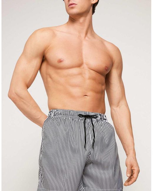 Tezenis Blue Printed Swimming Shorts for men