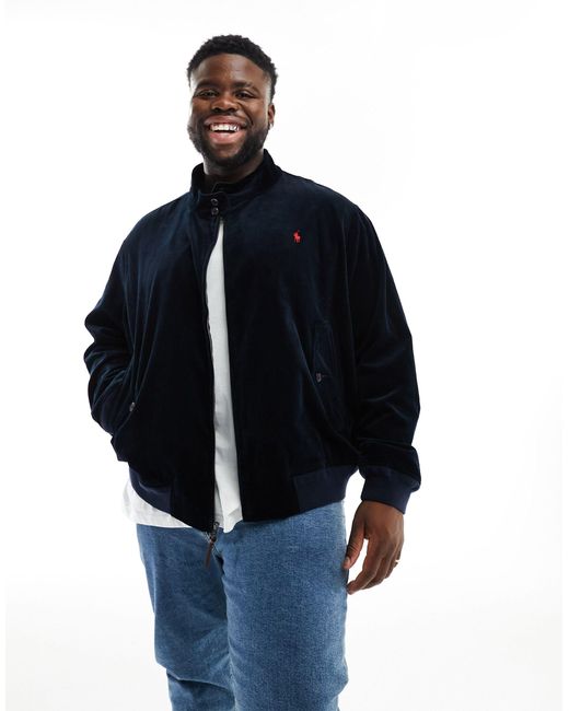 Big and tall bomber jacket 2025