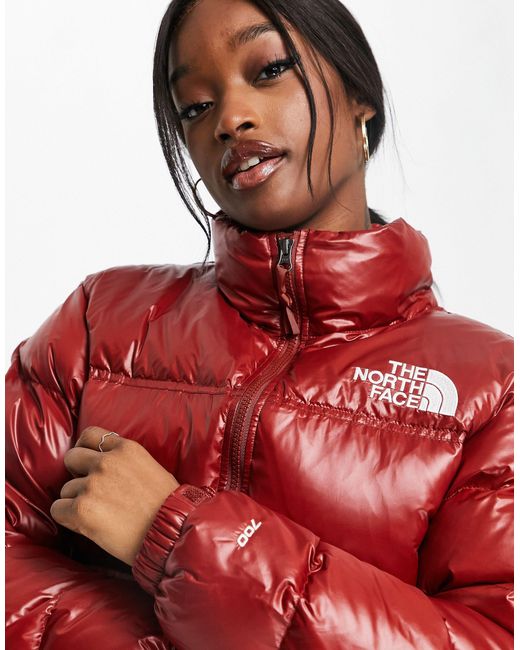 The North Face Nuptse Cropped Jacket in Red | Lyst