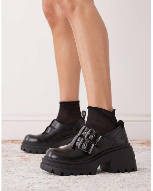 Bravr di Buffalo in Black