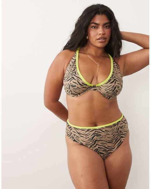 ASOS Brown Asos Design Curve Zaria Marina Del Ray Underwired Bikini Top With Contrast