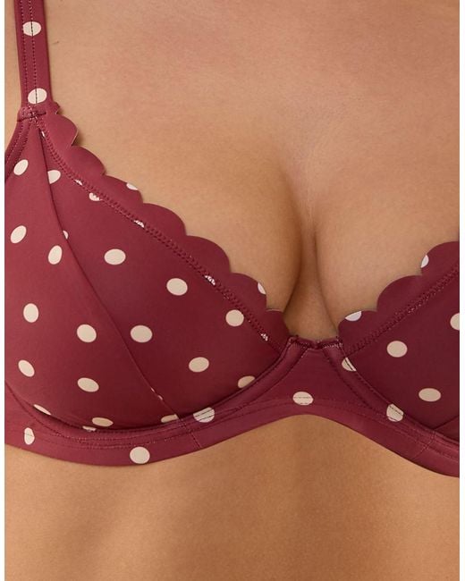 Peek & Beau Hazel Wine Spot Underwired Bikini Top