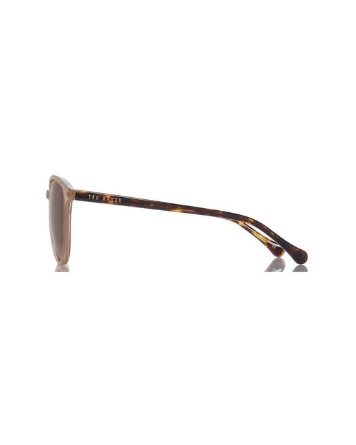 Ted Baker Brown Tierney Sunglasses