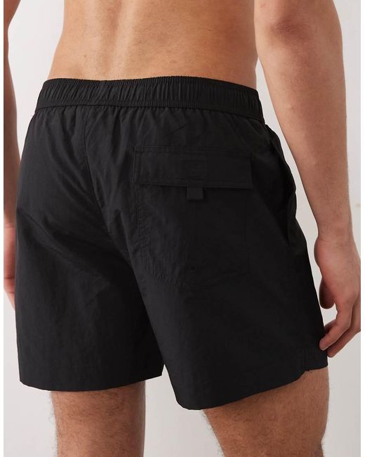 Champion Black Swim Shorts for men