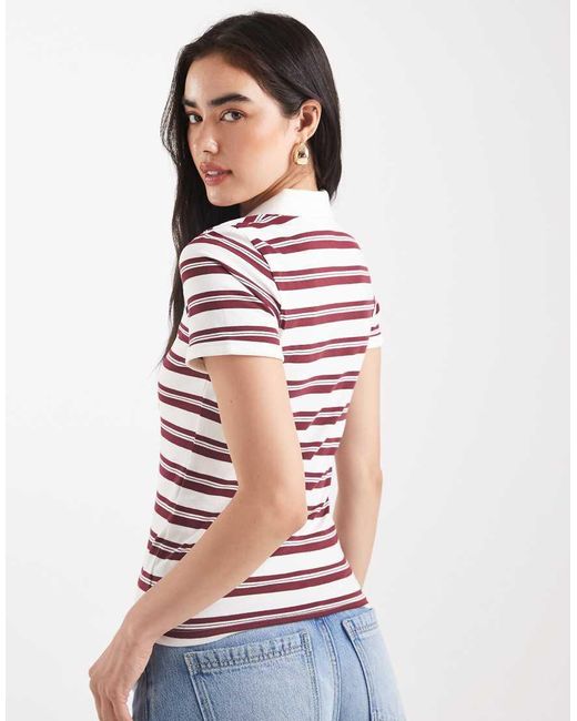 Polo Color Panna A Righe Bordeaux di JJXX in Red