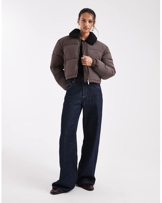 Tommy Hilfiger Brown Teddy Collar Puffer Jacket