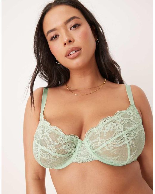 ASOS Brown Asos Design Curve Lola Lace Underwired Bra