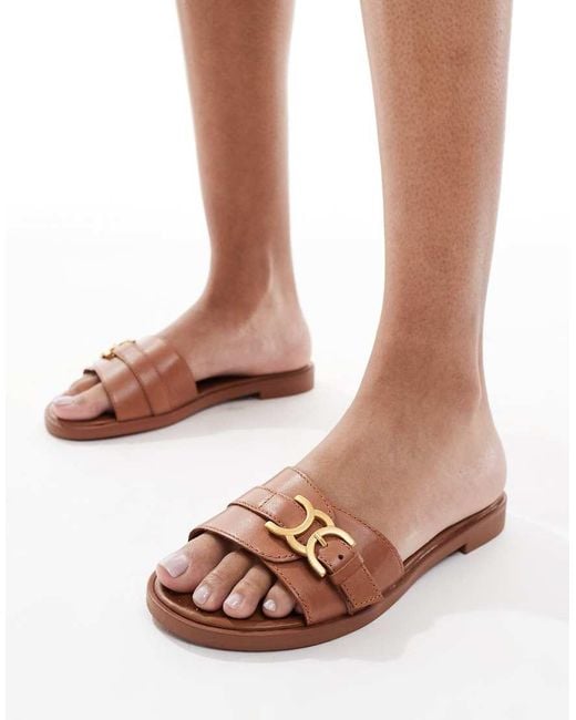 Dallaedar di ALDO in Brown