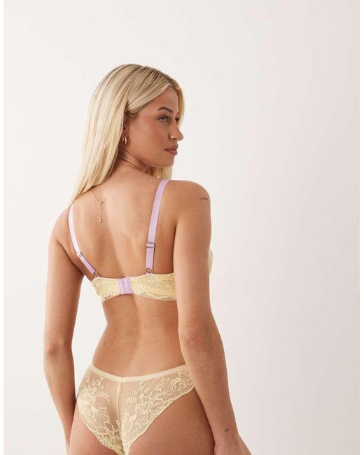 ASOS Brown Fuller Bust Stevie Lace Underwire Bra With Contrast Trims