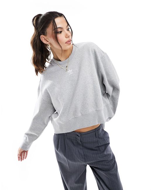 Adidas Originals Gray Adicolour Essentials Sweatshirt