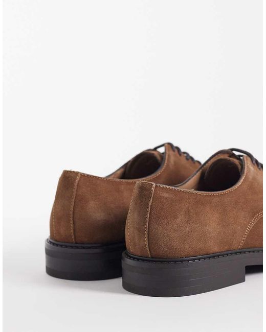 Mango Brown Real Suede Lace Up Brogues for men
