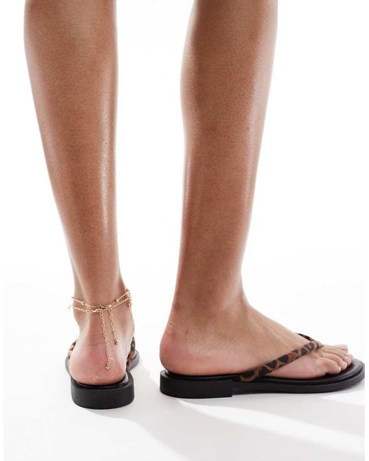 Schuh Tulia in het White