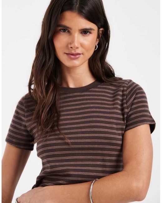 Hollister Brown Short Sleeve T-shirt