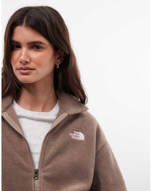 The North Face Brown Collared Fleece Jacket
