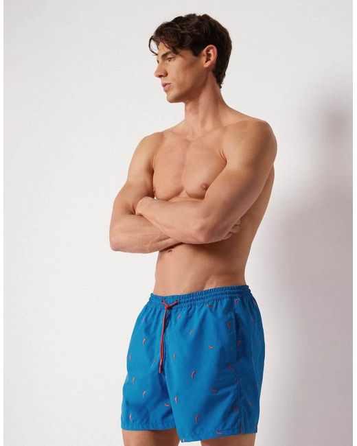 Calzedonia Blue Pattern Swim Boxer Formentera for men
