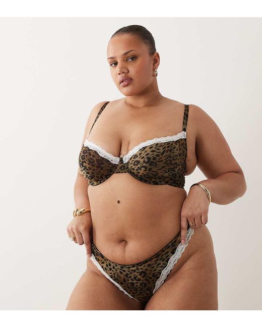 ASOS Brown Asos Design Curve Savannah Sheer Mesh Leopard Print Brazilian With Cream Lace Trim