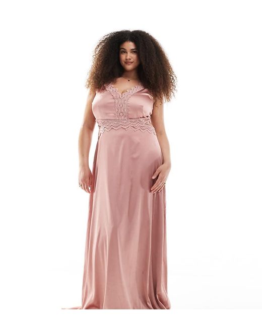 Tfnc Plus Bruidsmeisjes in het Pink
