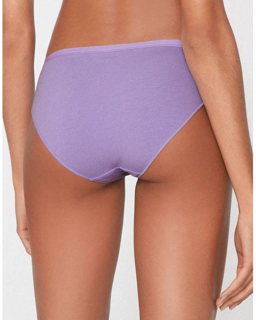 Tezenis Purple Cotton Knickers