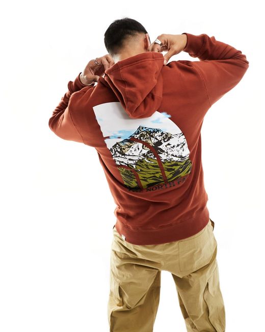 The North Face All Over Print Hoodie for Men in Brown