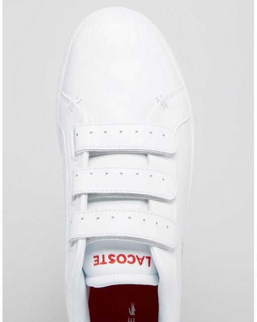 Lacoste camden deals