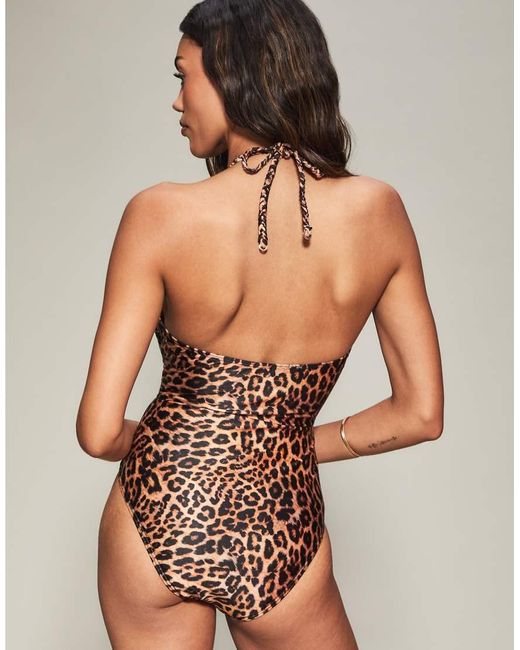 KBX Brown Knickerbox Collections Swimsuit