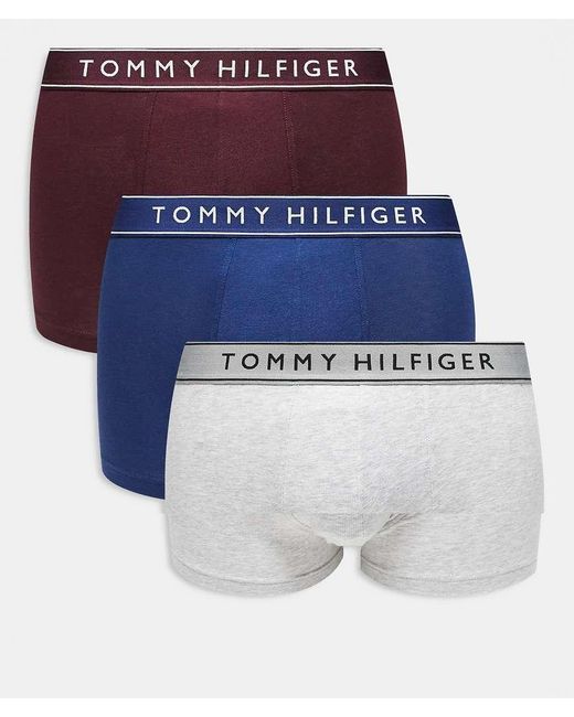 Tommy Hilfiger Everyday Essentials in het Blue voor heren