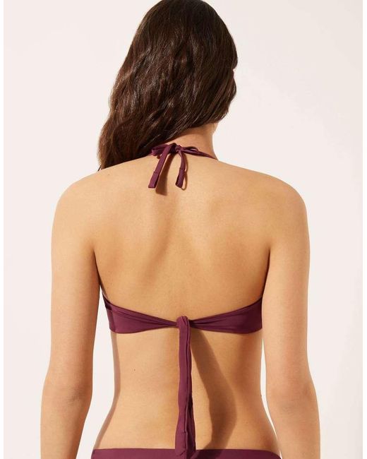 Calzedonia Purple Indonesia