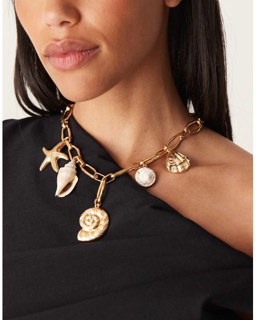 Collier avec breloque coquillages Mango en coloris Black
