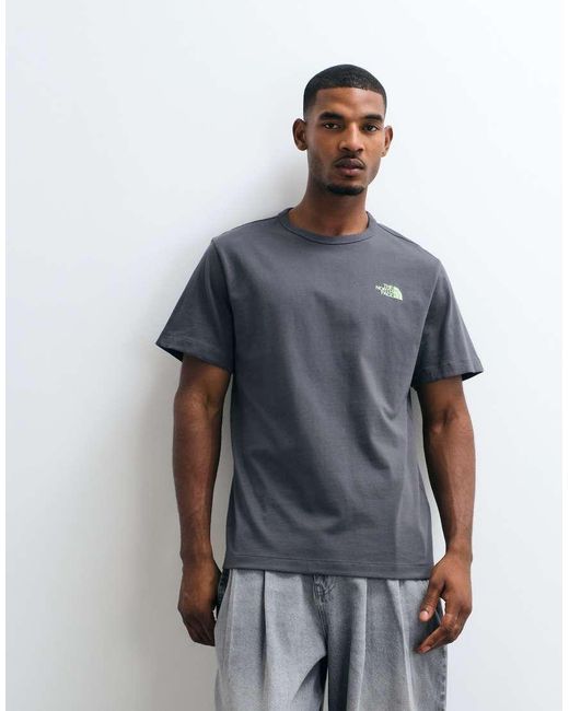 The North Face Gray Nse Slopes Graphic T-shirt for men