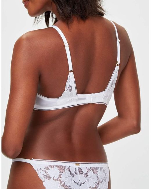 KBX Brown Dolly Non Pad Plunge Bra
