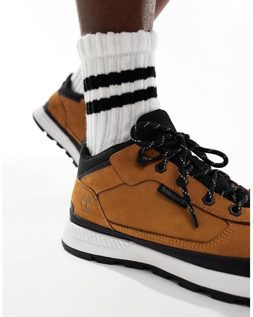 Timberland – field trekker – flache schnürsneaker in Black für Herren