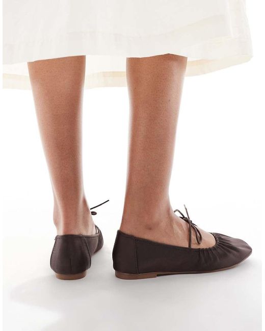 Iris di SEQWL in Brown