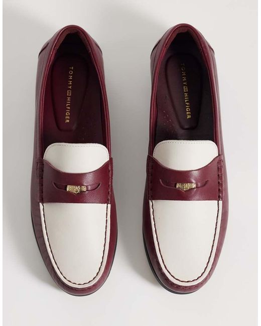 Tommy Hilfiger Purple Coin Contrast Loafer