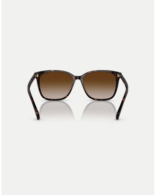 Ralph Brown Vvcv Square Sunglasses