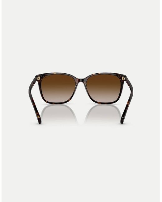 Ralph Brown Vvcv Square Sunglasses
