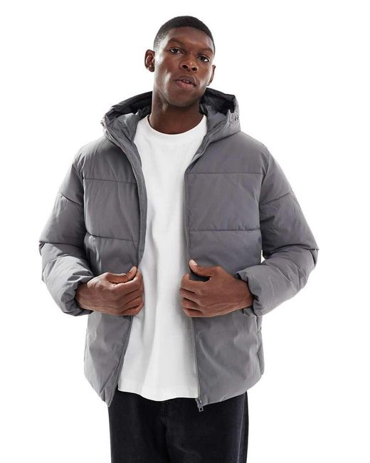 Jack & Jones Gewatteerd Puffer Jack Met Capuchon in het Gray voor heren