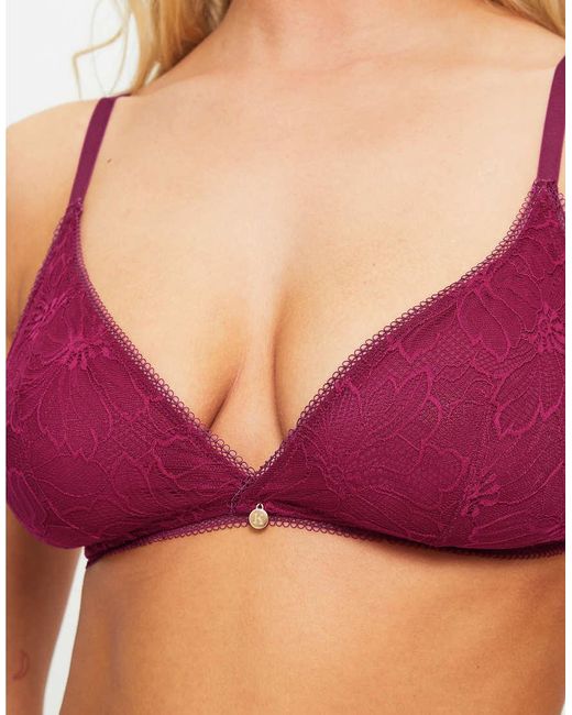 KBX Purple Alice Triangle Bralette
