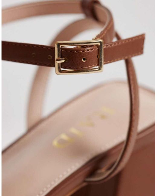 Evalina di Raid in Brown