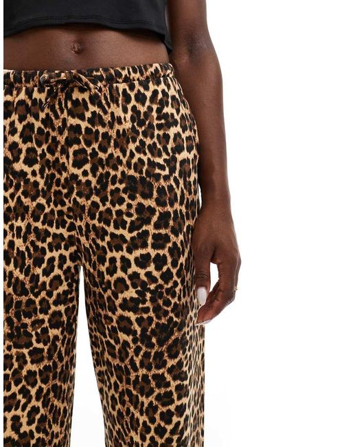 Threadbare Multicolor Pull On Trousers