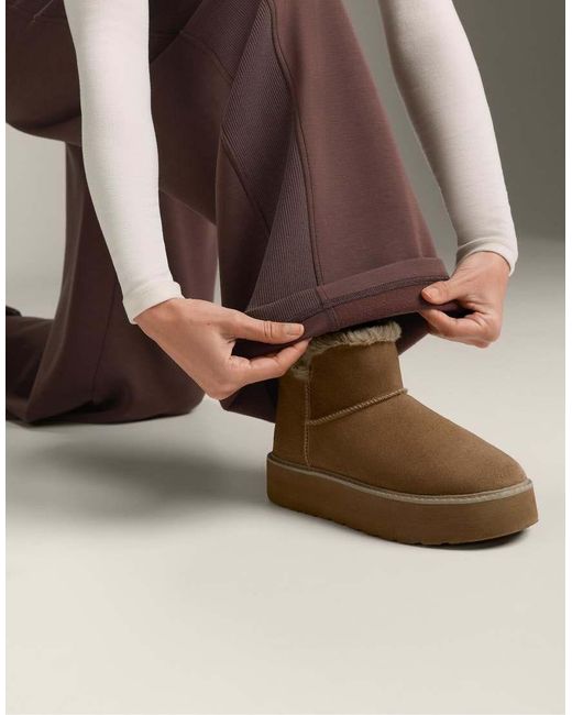 Oysho Brown Wide-Leg Rib Straight Trousers With Brushed Modal