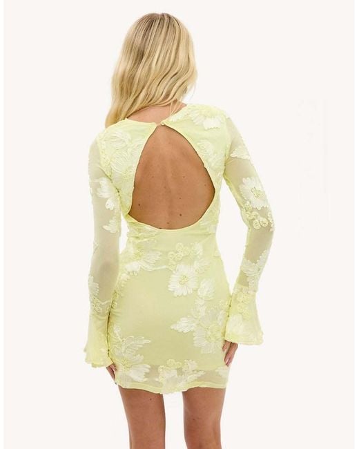 Loavies Yellow Wrapped