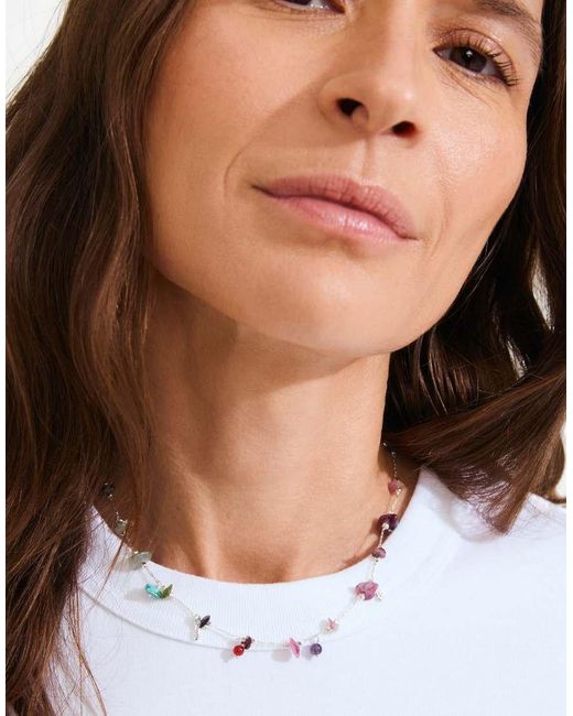 Collar-Multi Pilgrim de color White