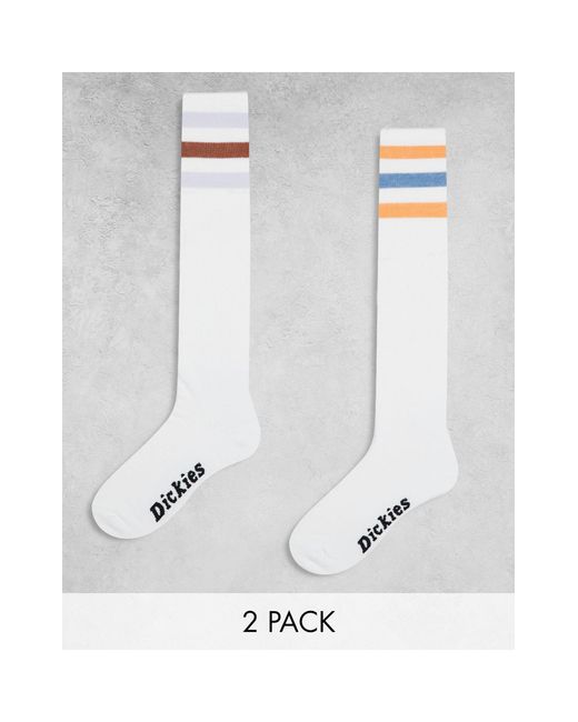 Lutak - calzini lunghi bianchi con righe marroni e blu di Dickies in White