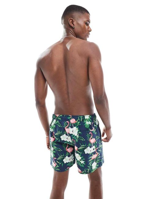 Jack & Jones Zwemshorts Met Flamingoprint in het Blue voor heren