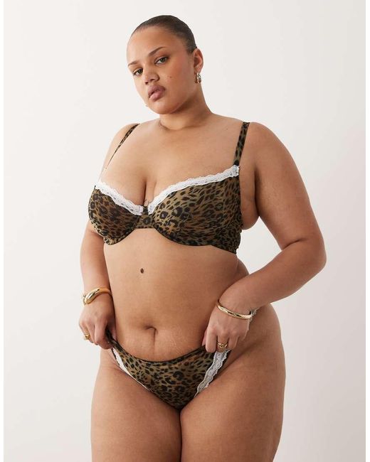 ASOS Green Asos Design Curve Savannah Sheer Mesh Leopard Print Underwire Bra With Cream Lace Trim